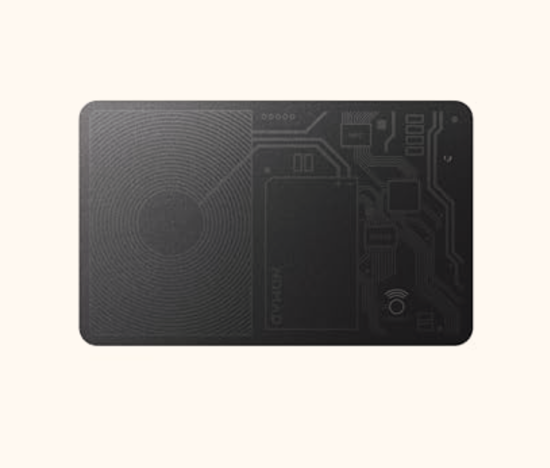 Luggage Tracking Card